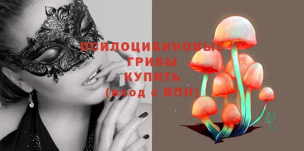 хмурый Алексеевка