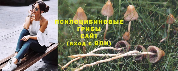 бутират Алзамай