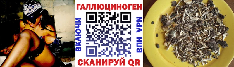 Псилоцибиновые грибы мицелий  гидра ССЫЛКА  Анжеро-Судженск 